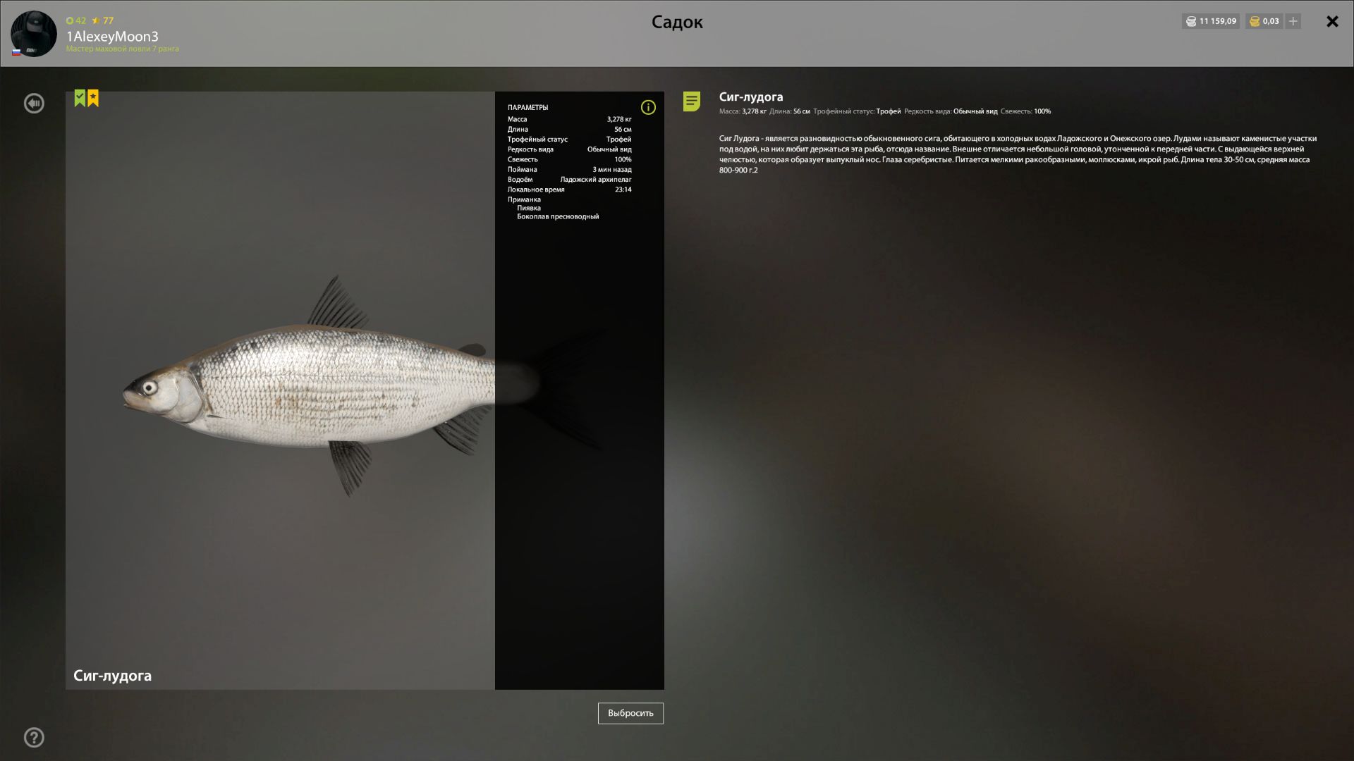 Скриншот точки клева на #трофей_rf4map