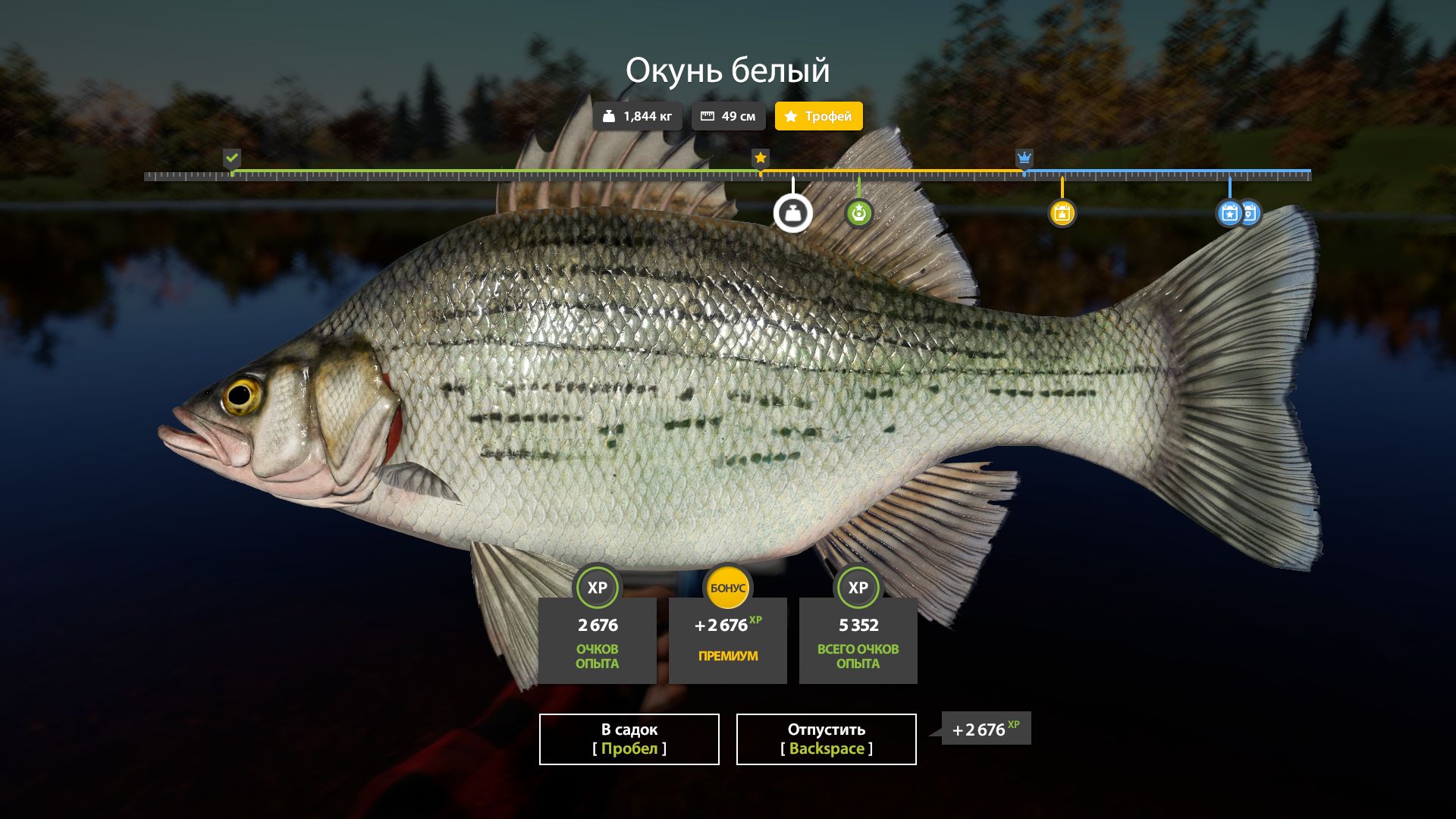 Скриншот точки клева на #трофей_rf4map