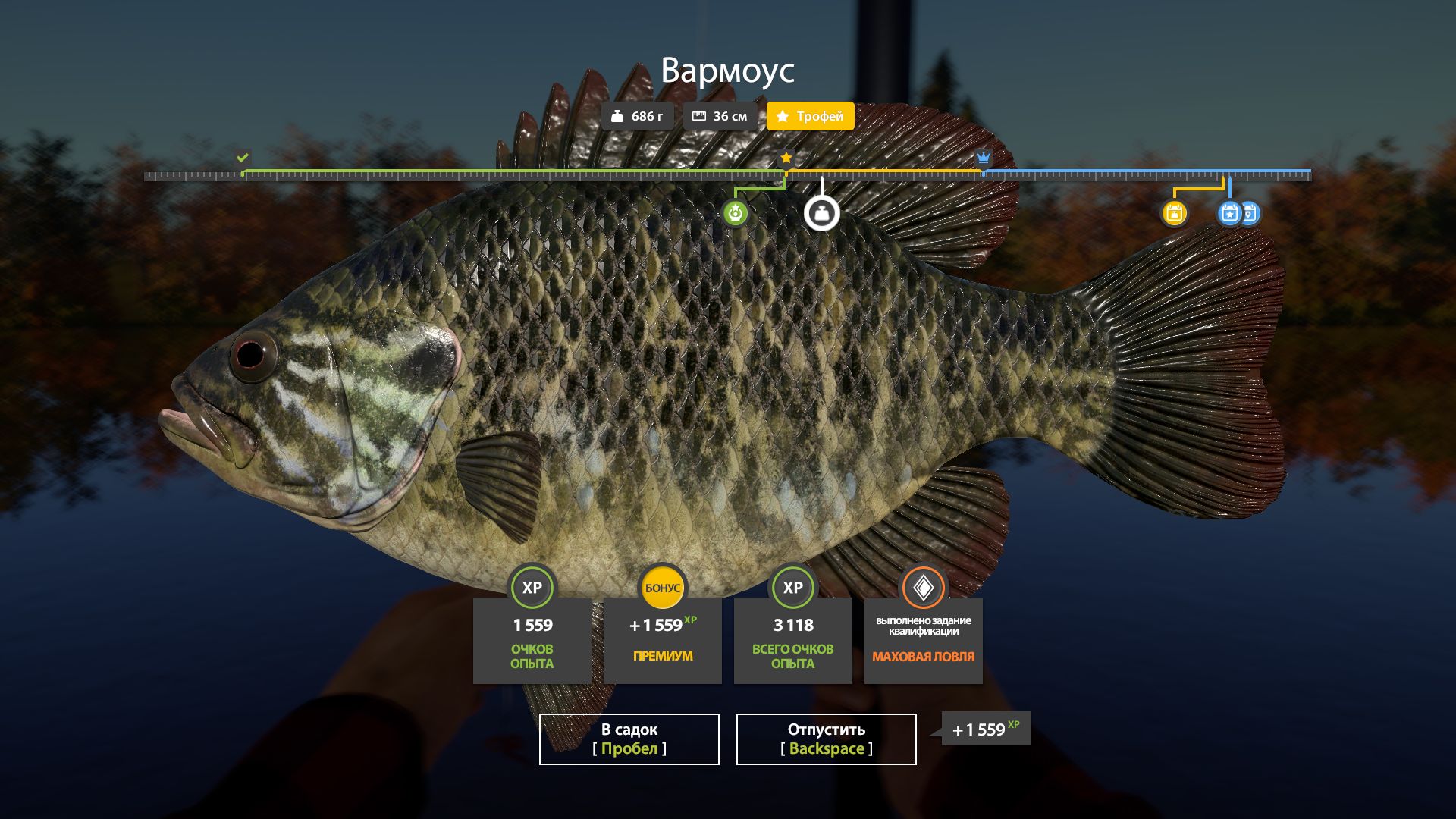 Скриншот точки клева на #трофей_rf4map