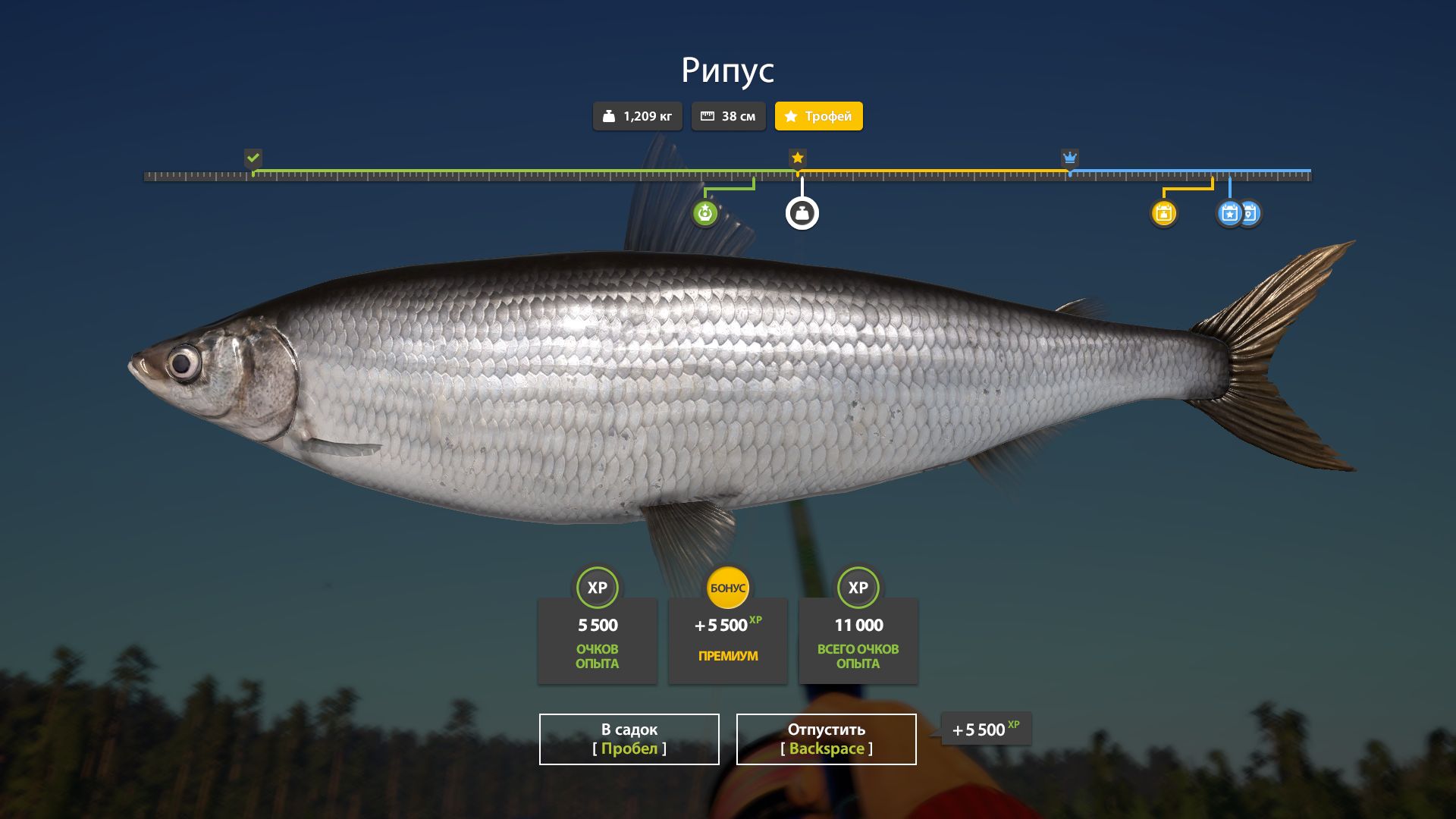 Скриншот точки клева на #трофей_rf4map