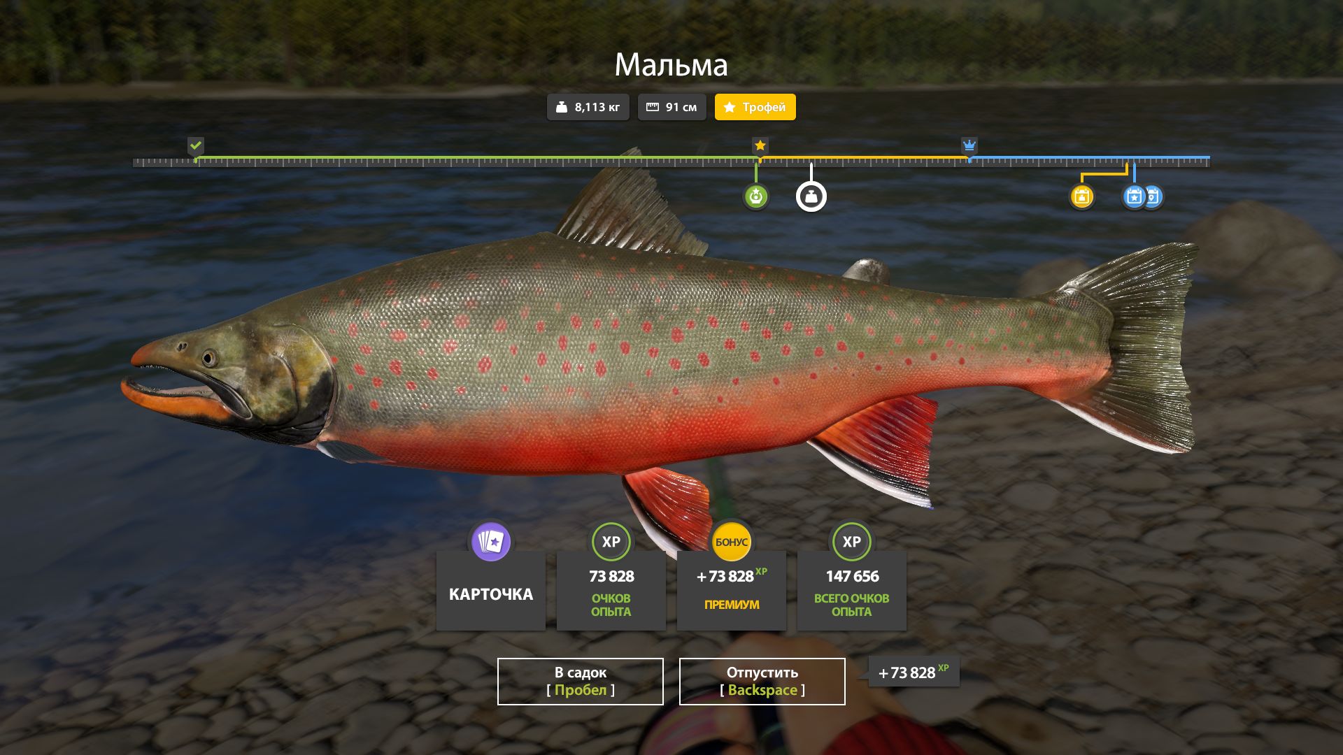 Скриншот точки клева на #трофей_rf4map