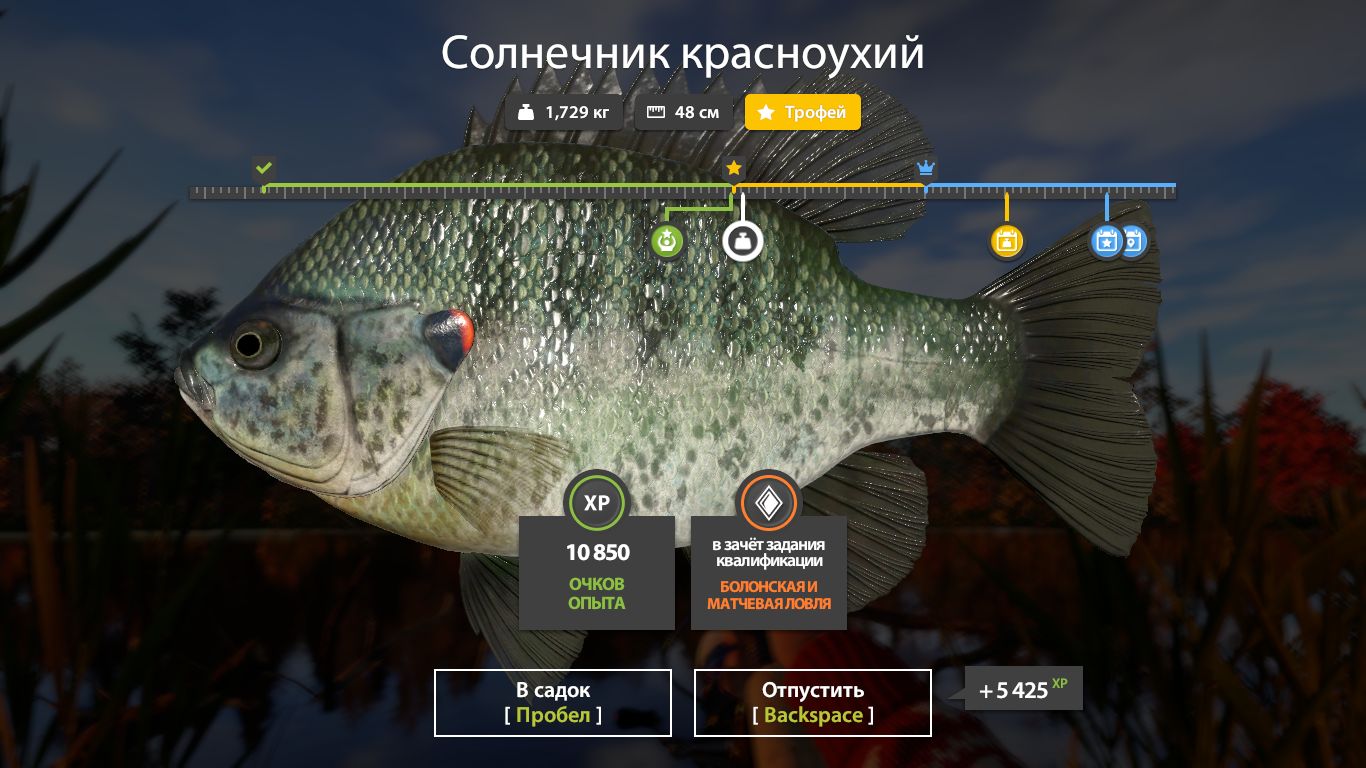 Скриншот точки клева на #трофей_rf4map