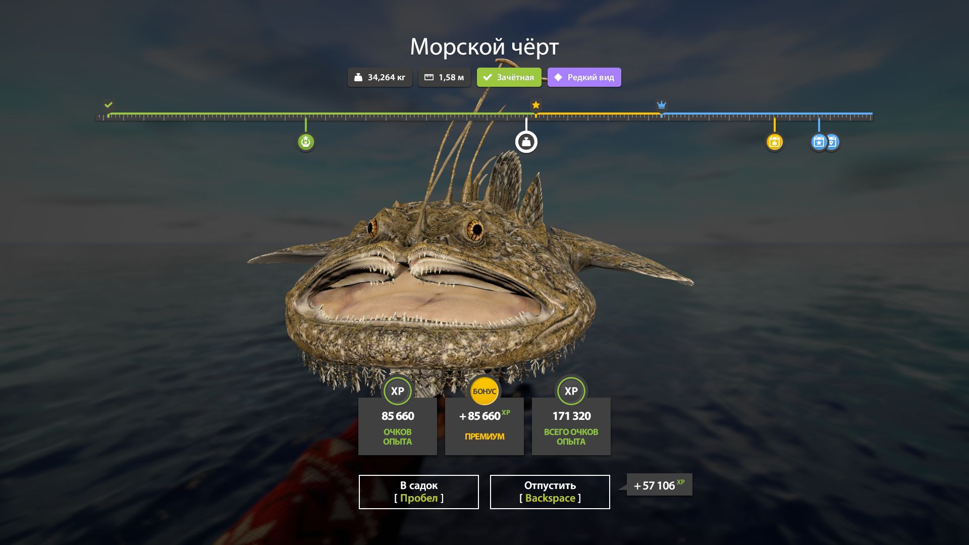 Скриншот точки клева на #трофей_rf4map