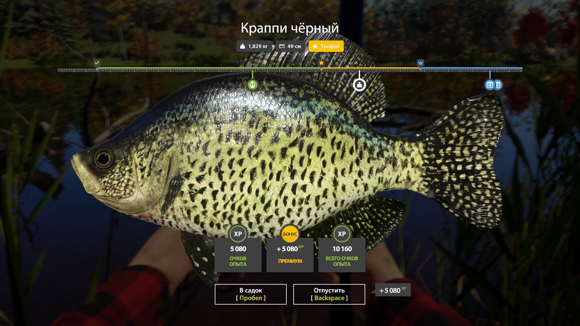 Скриншот точки клева на #трофей_rf4map