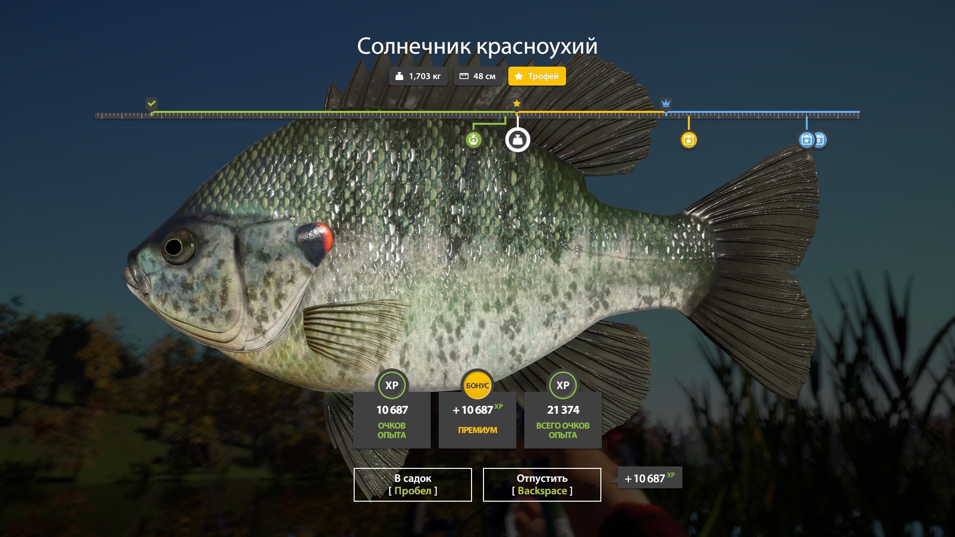 Скриншот точки клева на #трофей_rf4map