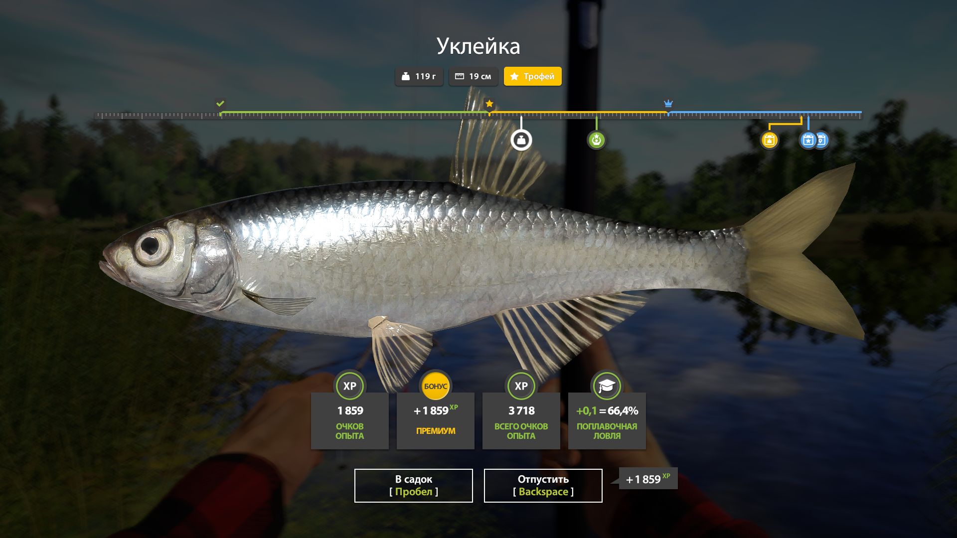 Скриншот точки клева на #трофей_rf4map