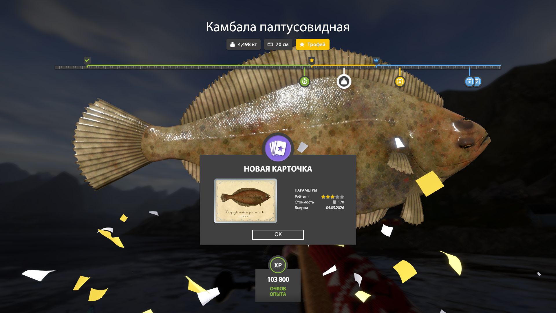 Фото точки