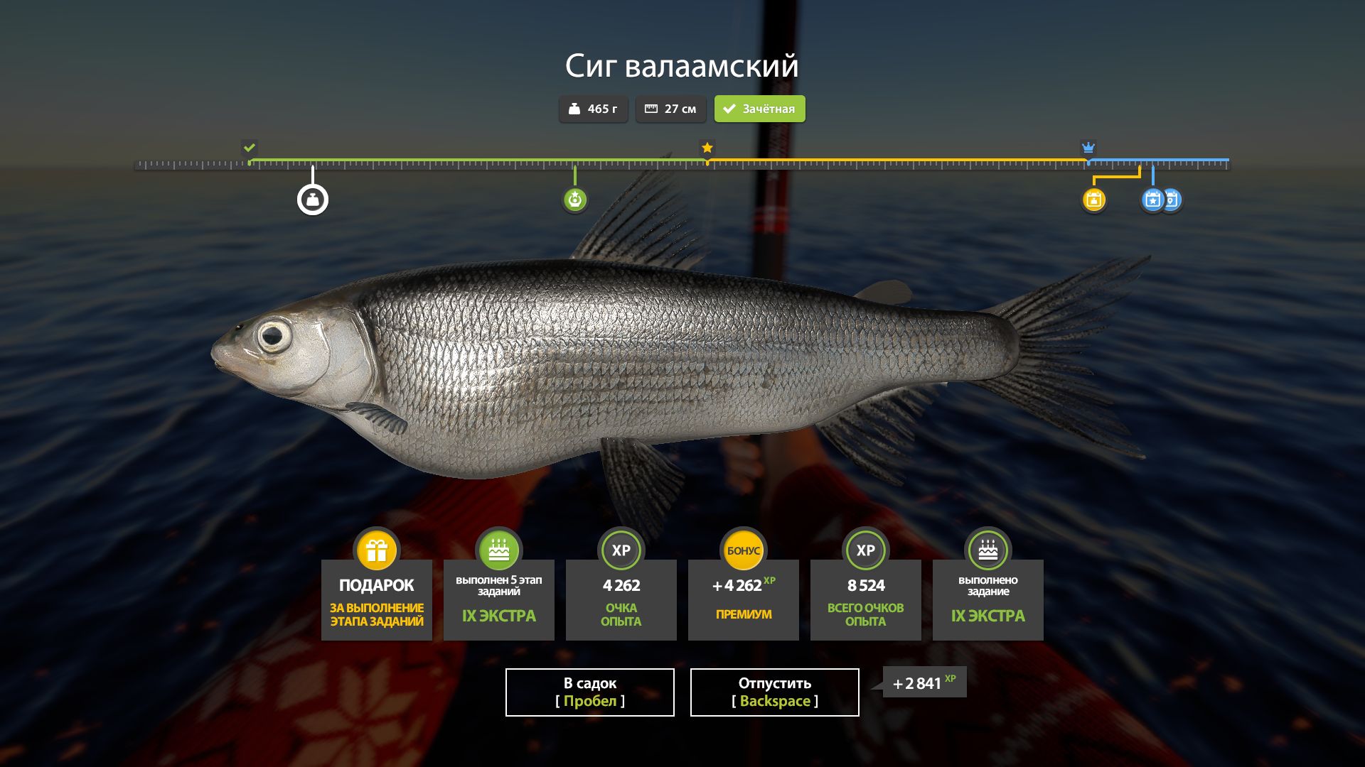 Скриншот точки клева на #задания_rf4map