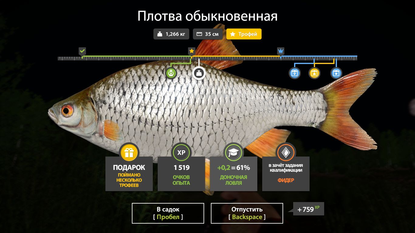 Скриншот точки клева на трофей